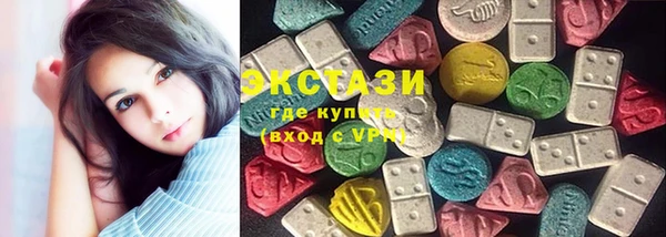гидра Вяземский