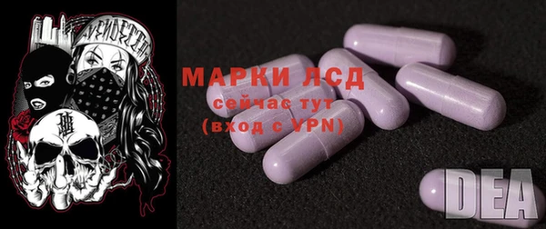 гидра Вяземский
