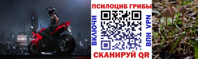 mega как зайти  Южно-Сахалинск  darknet состав  Псилоцибиновые грибы Magic Shrooms 